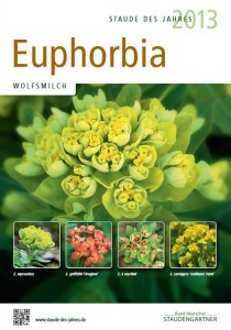 Staude des Jahres  (Kuva: ©BdS)