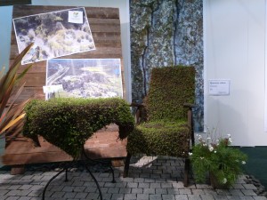 Axxell Överbyn sovellus maksaruohomatosta.