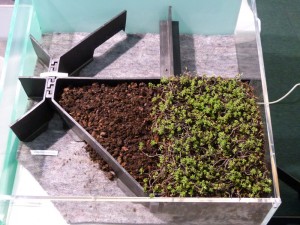 Kalteva katto tarvitsee jykevämmät alusrakenteet