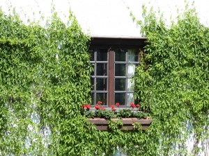 Kevätretken 8.6.2013 suuntana oli itäinen Uusimaa.  Tänä vuonna retkeillään 7.6. Mäntsälän suuntaan.