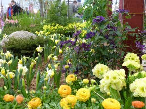 'Pelkistettyjä muotoja'