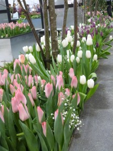 'Puuta ja terästä'