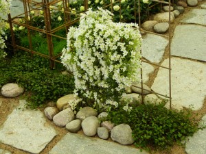 'Valkoista ja vihreää'